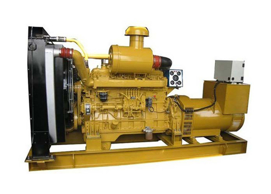 Erdgasgenerator Cummins Engine für Haus mit Stamford u. Tiefseeprüfer 50kva - 175kva