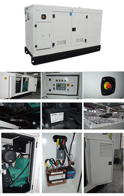 6,25 kVA schallgedämmter Generator mit Delixi-Leistungsschalter und 8 Stunden Laufzeit bei Volllast für flüsterleise Stromversorgung